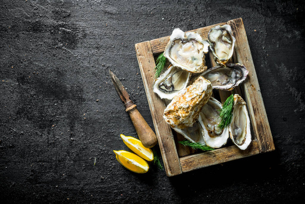 Fresh raw oysters on a wooden tray with lemon slices. On black rustic background - Zdjęcie, obraz