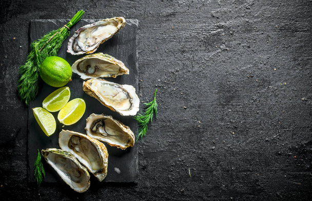 Opened raw oysters on black stone Board with lime and dill. On black rustic background - 写真・画像