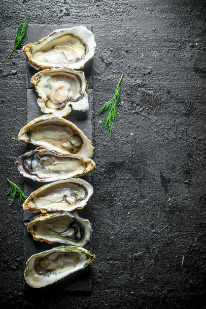 Seafood. Raw Opened oysters on a stone stand. On black rustic background - Фото, зображення