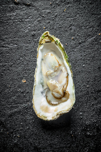 One opened fresh oyster. On black rustic background - 写真・画像