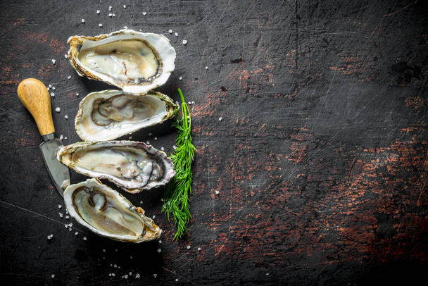 Fresh oysters with dill and a knife. On dark rustic background - Фото, изображение