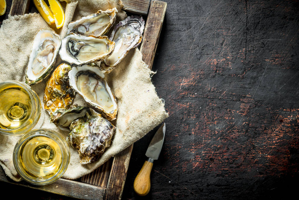 Raw oysters on a rag in a wooden tray with glasses of white wine. On dark rustic background - Foto, Imagen