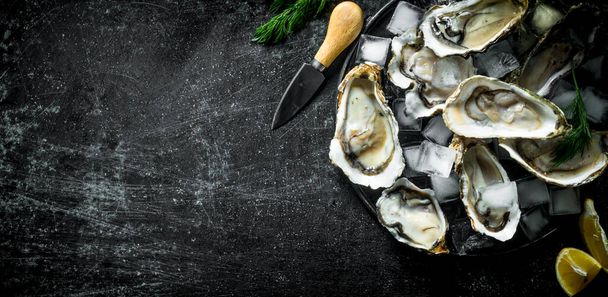Appetizing raw oysters with ice cubes and a knife. On dark rustic background - 写真・画像