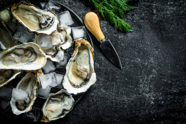 Appetizing raw oysters with ice cubes and a knife. On dark rustic background - Fotó, kép