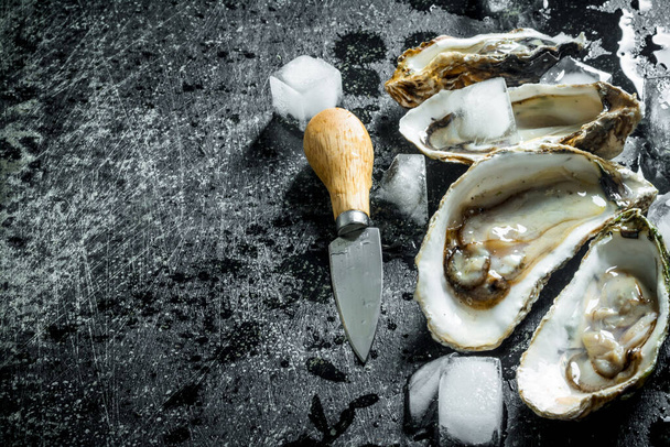 Opened raw oysters with ice cubes and knife. On dark rustic background - Фото, зображення