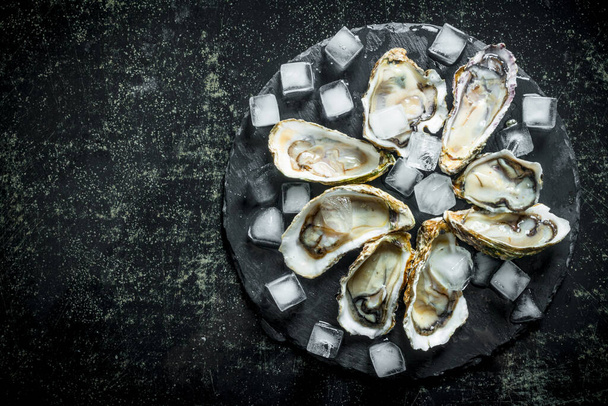 Raw oysters on a stone Board with ice pieces. On dark rustic background - Фото, зображення