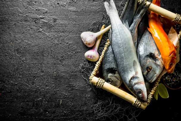 Fresh fish in a box with garlic, spices and lime. On black rustic background - Photo, Image