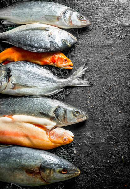Fresh fish tuna, sea bass and trout. On black rustic background - Foto, imagen