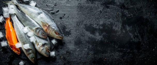 Fresh raw fish on a stone Board with ice. On black rustic background - Foto, imagen