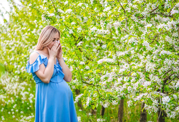 開花リンゴの木の庭の妊婦はアレルギーです。選択的フォーカス。自然. - 写真・画像
