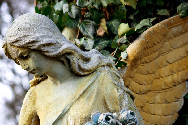 Красивое ангельское лицо женщины. Милосердие и мир. (Памятник XIX века неизвестного автора) - Фото, изображение