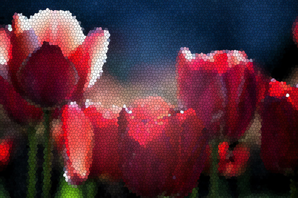 Spring red tulips flowers - 写真・画像