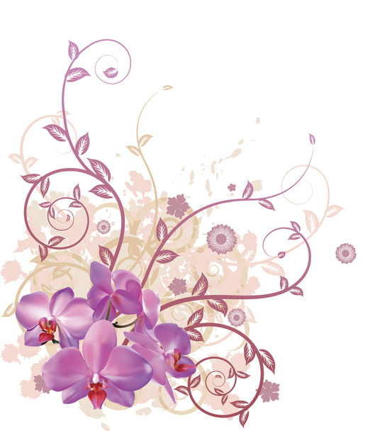 Cool orchid floral background - Διάνυσμα, εικόνα