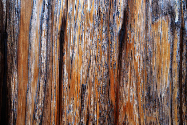     Bella venatura del legno. Fondo in legno. grana di legno texture sfondi                            - Foto, immagini