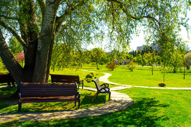 Banco no parque de verão com árvores velhas e caminho pedestre
 - Foto, Imagem