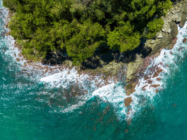 Aerial drone top down photo of tropical seascape and sandy beach with turquoise clear waters and pine trees - Foto, Imagen