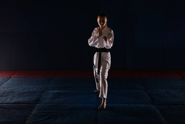 Silueta de una hermosa adolescente haciendo la pose de Fudo Dachi en el estudio de karate - Foto, imagen