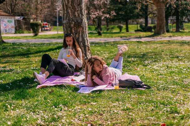 Okul kızları güneşli bir günde parkta birlikte ders çalışırken eğleniyorlar. - Fotoğraf, Görsel