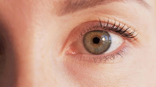 Eye closeup. Iris examination. Ophthalmology health. Laser surgery. Woman face staring with confident sight look retina therapy optometry. - Photo, image