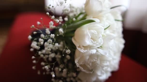 Ładne ślubne bukiet białych tulipanów na czerwony gałąź - Materiał filmowy, wideo