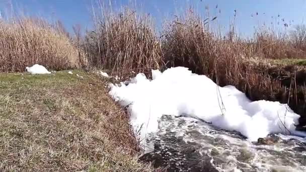 Szennyezett patak - Felvétel, videó