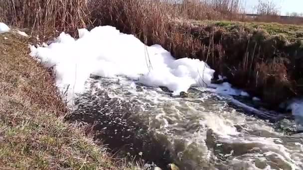Polluted stream - Footage, Video