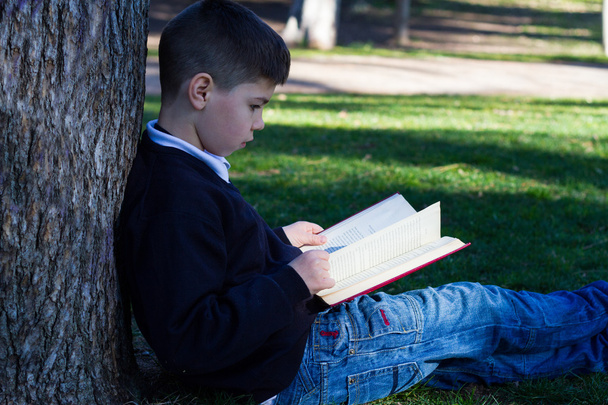 Student sitting near a tree with a book - Fotoğraf, Görsel