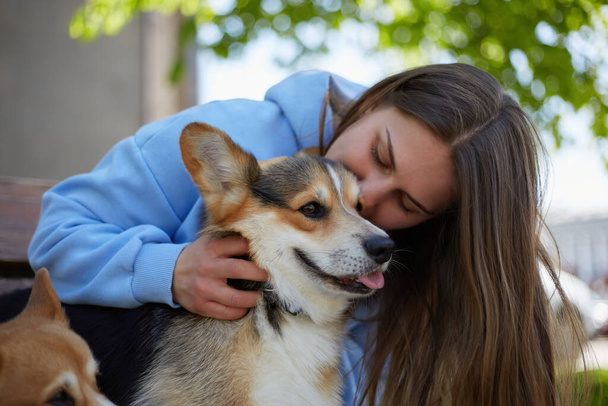 Dog lover female cuddling with a corgi outdoor. Loving pet owner playing with young Pembroke Welsh Corgi puppy on a bench - Photo, image