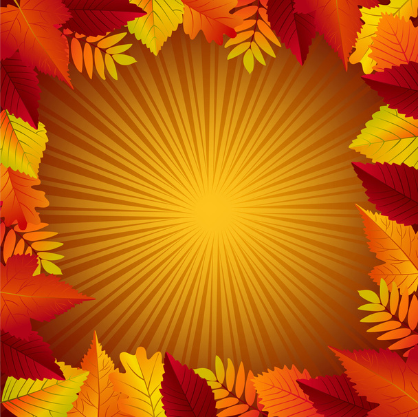 Bellissimo sfondo autunno
 - Vettoriali, immagini