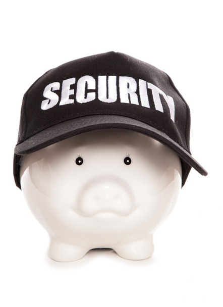 financial security piggy bank - Photo, Image