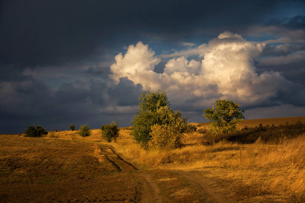 Sarı alanlar, dramatik fırtına bulutları, yeşil ağaçlar ve dolambaçlı bir yol ile pitoresk kırsal çevre - Fotoğraf, Görsel