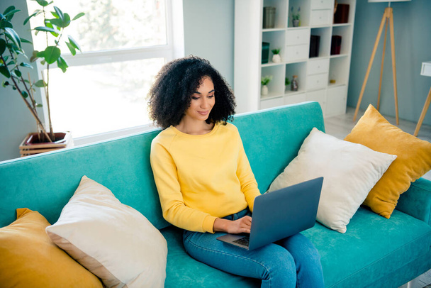 Portrait of nice positive lady sitting sofa use wireless netbook typing communicate bright flat indoors. - Фото, изображение