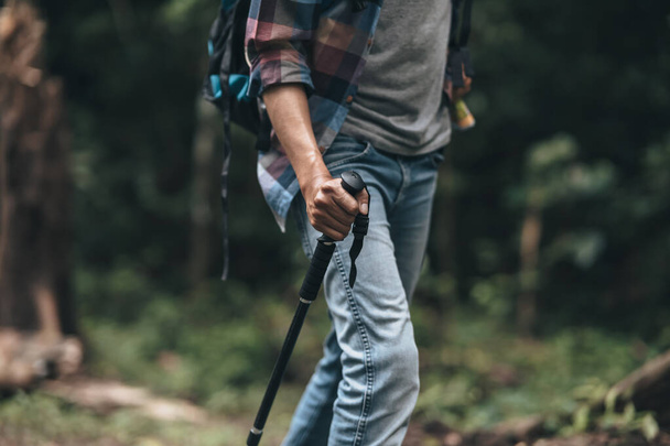 Hikers use trekking pole with backpacks and hold tent bag walking through the forest. hiking and adventure concept. - Photo, image