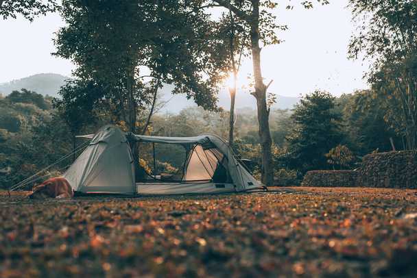 Gray tent on the grass in the forest The view behind is the mountain in the morning. Camping, Travel and holiday concept. - Фото, зображення