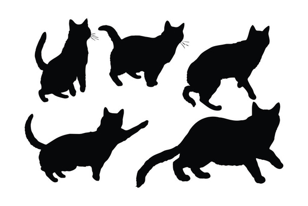 Feline jumping design on a white background. Cute home cat silhouette set vector. Cat jumping silhouette bundle design. Cute cat walking in different positions silhouette collection. - Vector, Image