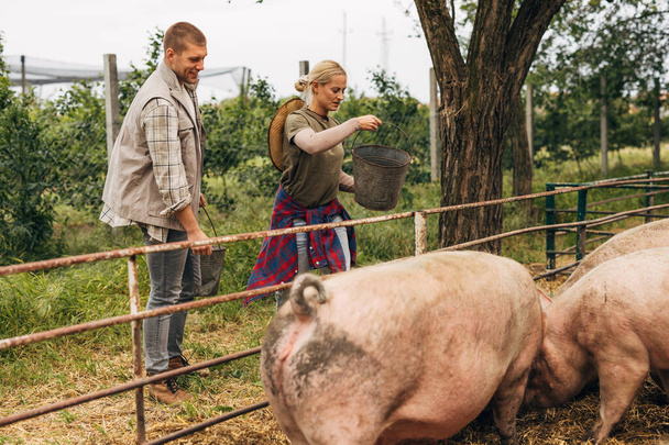 A woman and a man feeding pigs at their farm - Fotografie, Obrázek