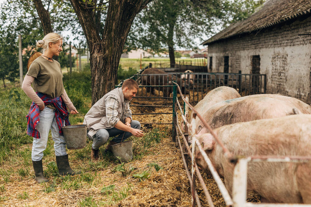 A man and a woman live a domestic life at the farm. - Foto, Bild