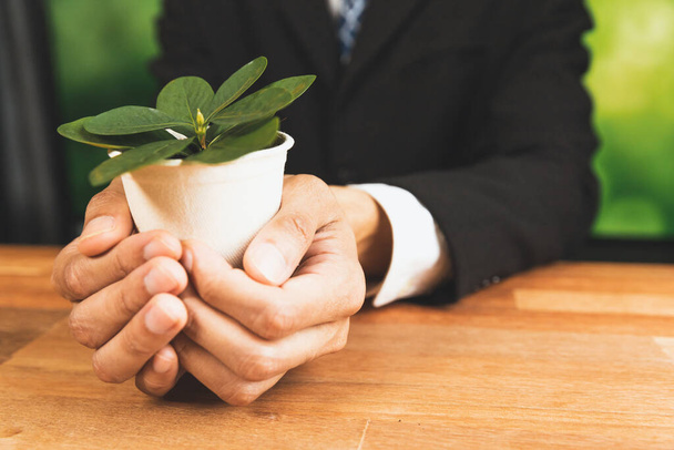 Businessman holding plant pot with his hand promoting forest regeneration and natural awareness. Ethical green business with eco-friendly policy utilizing renewable energy to preserve ecology. Alter - Photo, Image