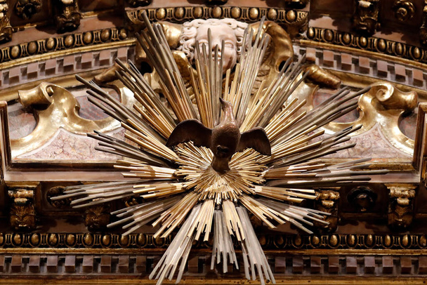 Taube des Heiligen Geistes. Basilika Santa Maria delle Vigne. Genua. Italien.  - Foto, Bild