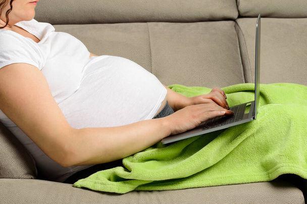 young pregnant woman using a digital laptop while relaxing on the sofa at home - Foto, Bild