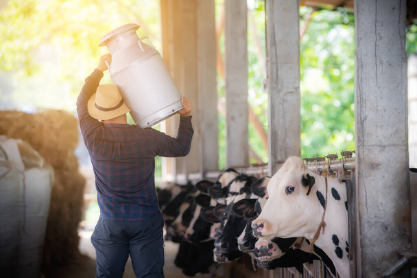 Bauer mit Milchkanne mit den Kühen - Foto, Bild