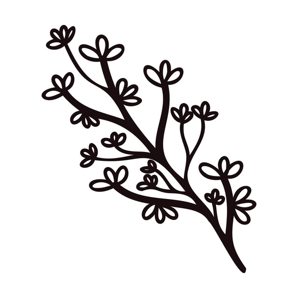 Hand Drawn leaves and twigs from the top view in doodle style isolated on background - Vector, imagen
