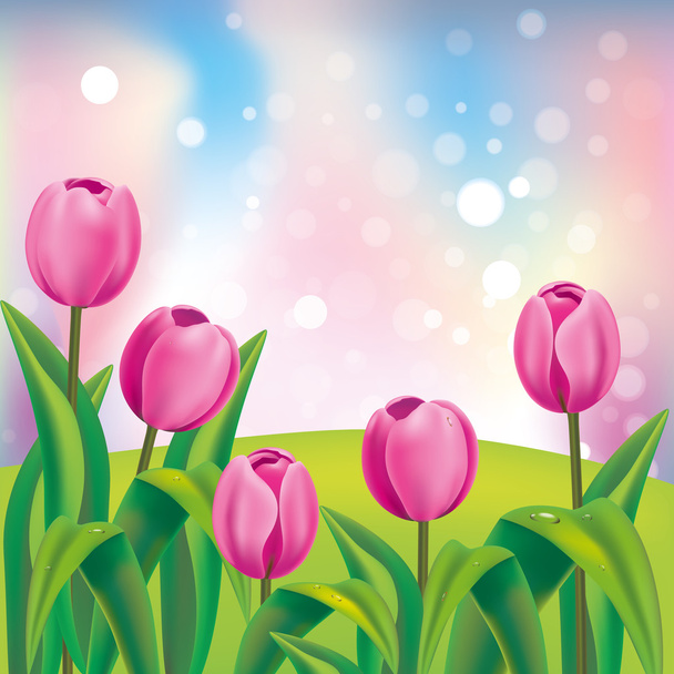 Pink tulips on blurred background - Vector, Image