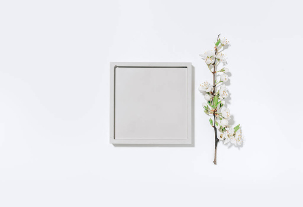 Beauty cosmetics product presentation flat lay mockup soft scene made with square shape and spring flowering branch. Ready layout for the presentation of your product. Central composition. Studio photography. - Фото, изображение