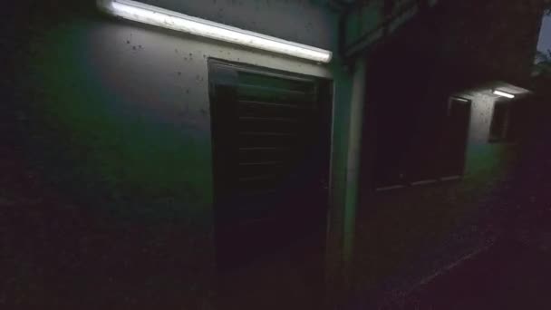 alates rovarok raj vonzza a szabadtéri fluoreszkáló fények a sikátorban tornác. - Felvétel, videó