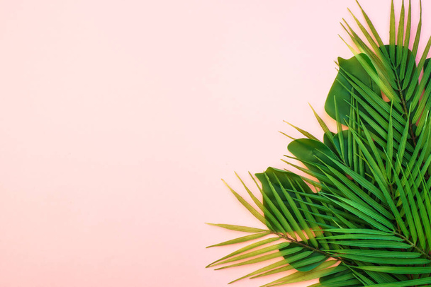 Palm leaves on pink background. Flat lay with copy space. - Photo, Image