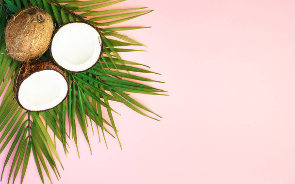Palm leaves and coconut on pink background. Flat lay with copy space. - Fotografie, Obrázek