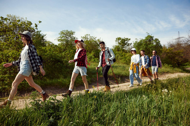 Young people, group of friends walking in forest on path, going hiking on warm summer day. Tourism and leisure time. Concept of active lifestyle, nature, sport and hobby, friendship, fun - Photo, image