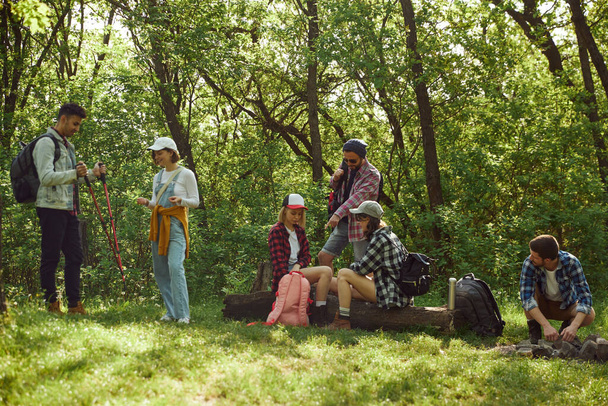 Grouof of young people, friends goig hiking, walking in forest, sitting on meadow, having picnic on warm spring day. Concept of active lifestyle, nature, sport and hobby, friendship - Photo, image