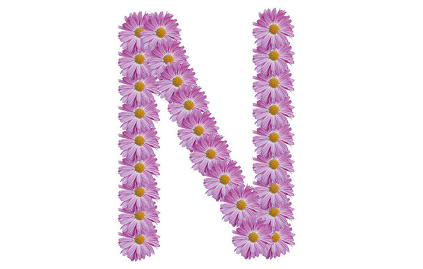 Letter N made with pink flower isolated on white background. Spring concept idea. - 写真・画像